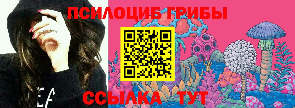Псилоцибиновые грибы ЛСД Советская Гавань